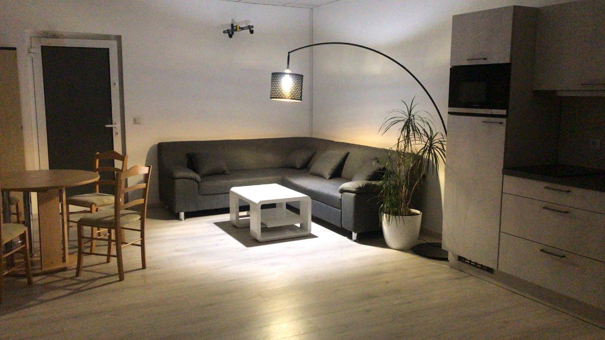 Grosse & Voll Ausgestattete Apartments, Studios, Doppelzimmer, Workspace, Parkplatz, Netflix, Prime & Schnelles Wifi In Ruhiger Lage Mit Garten Rudolstadt Extérieur photo