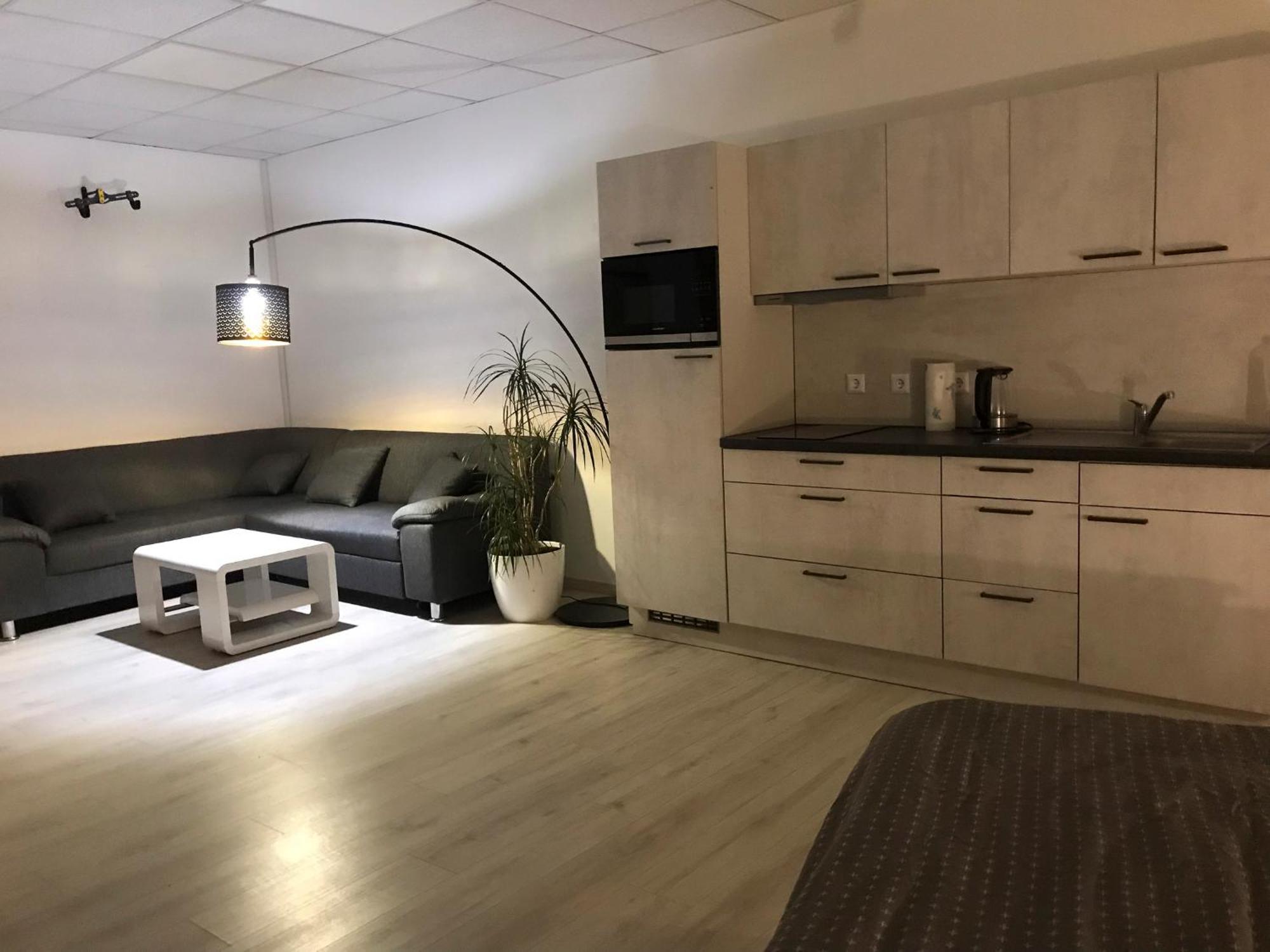 Grosse & Voll Ausgestattete Apartments, Studios, Doppelzimmer, Workspace, Parkplatz, Netflix, Prime & Schnelles Wifi In Ruhiger Lage Mit Garten Rudolstadt Extérieur photo