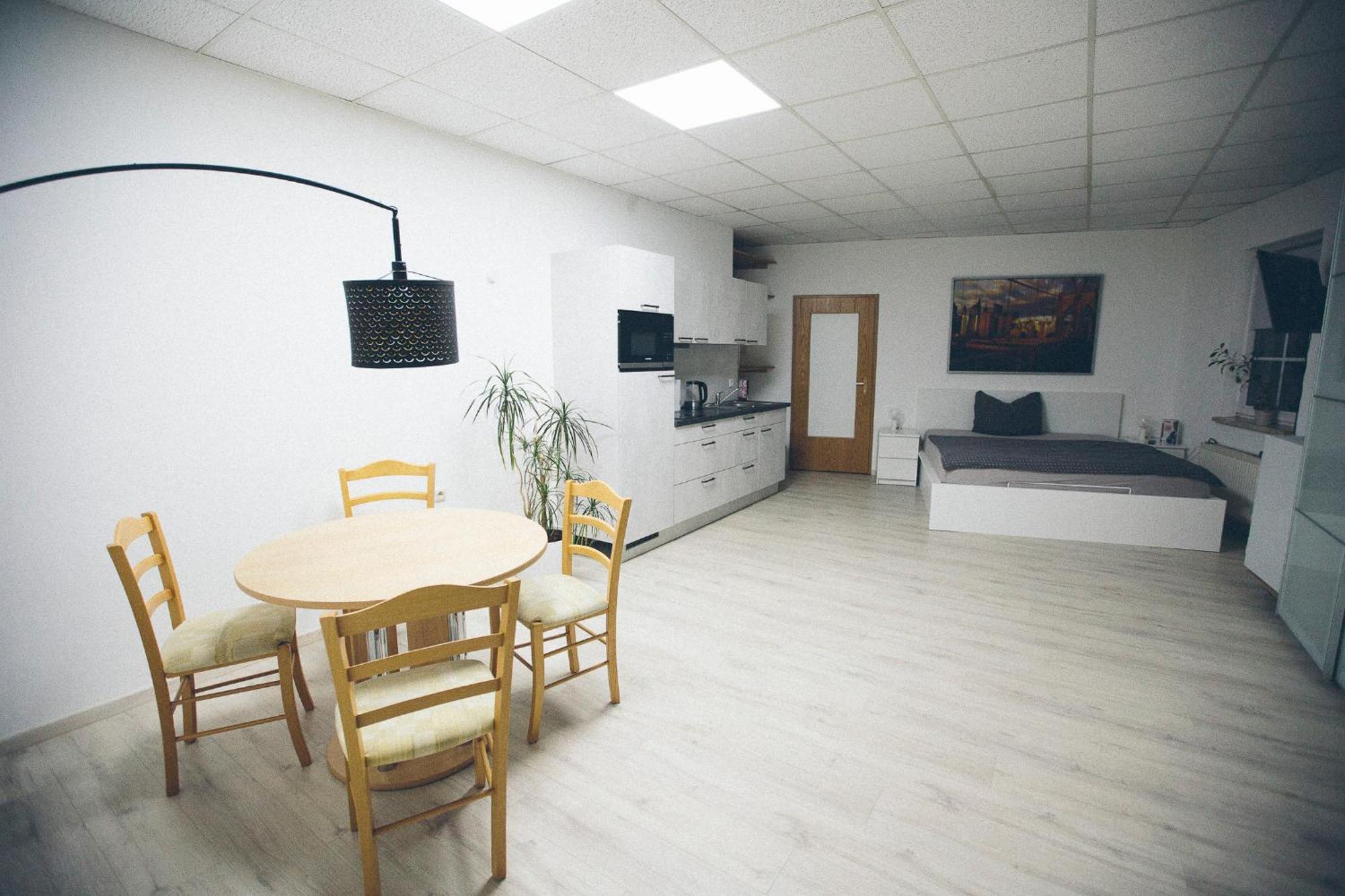 Grosse & Voll Ausgestattete Apartments, Studios, Doppelzimmer, Workspace, Parkplatz, Netflix, Prime & Schnelles Wifi In Ruhiger Lage Mit Garten Rudolstadt Extérieur photo